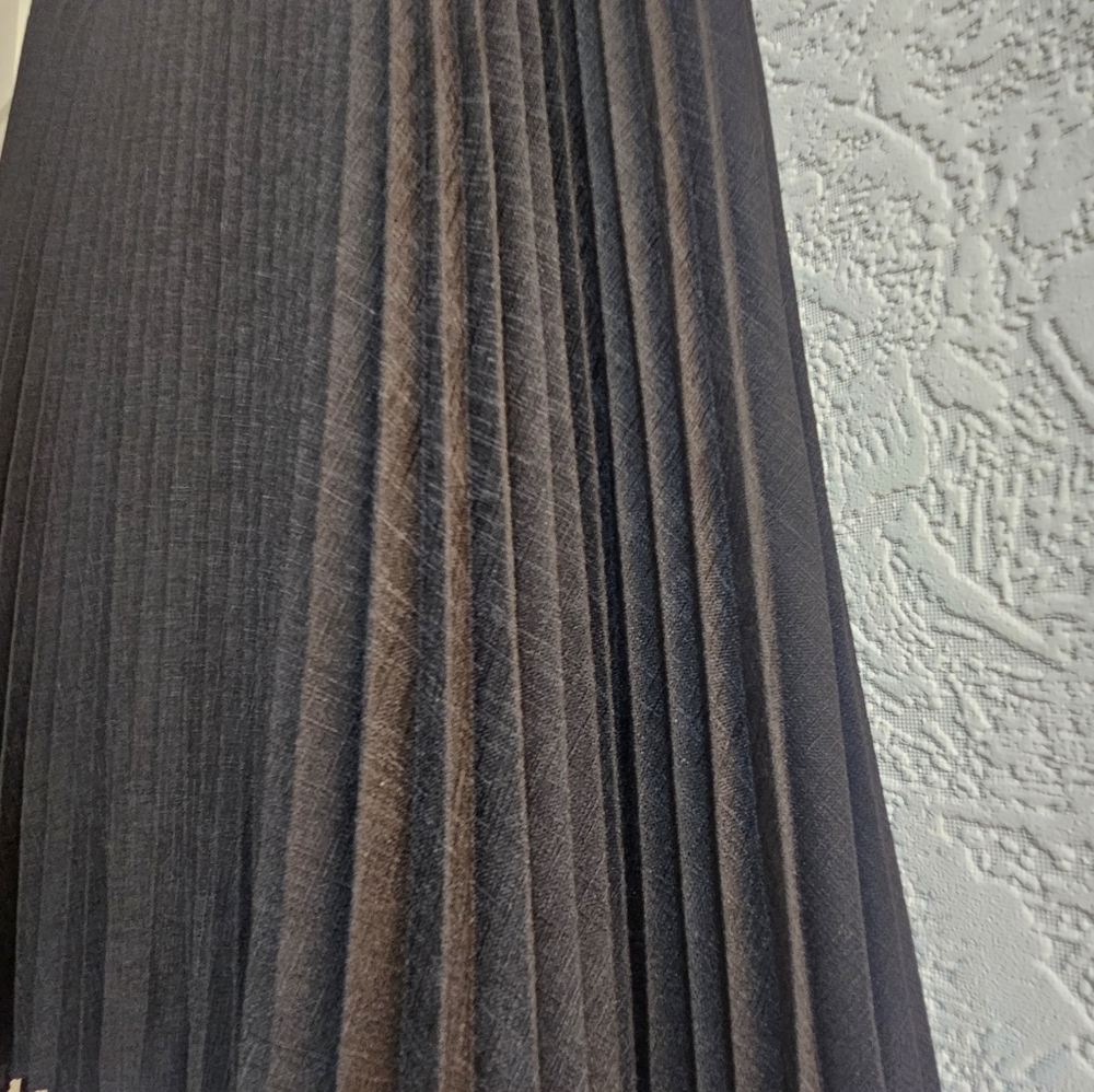 Ann Taylor skirt